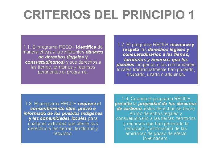 CRITERIOS DEL PRINCIPIO 1 1. 1. El programa REDD+ identifica de manera eficaz a