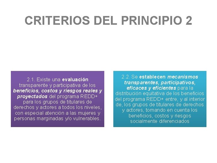 CRITERIOS DEL PRINCIPIO 2 2. 1. Existe una evaluación transparente y participativa de los