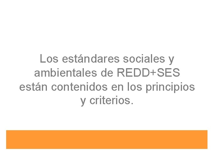 Los estándares sociales y ambientales de REDD+SES están contenidos en los principios y criterios.