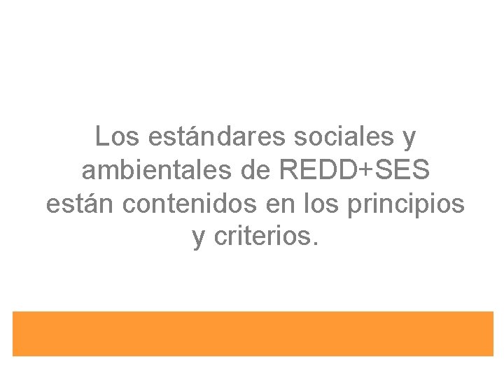 Los estándares sociales y ambientales de REDD+SES están contenidos en los principios y criterios.