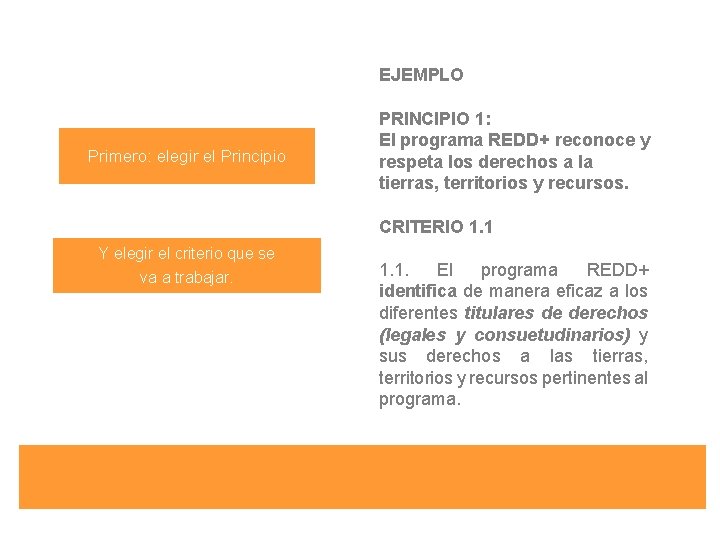 EJEMPLO Primero: elegir el Principio PRINCIPIO 1: El programa REDD+ reconoce y respeta los