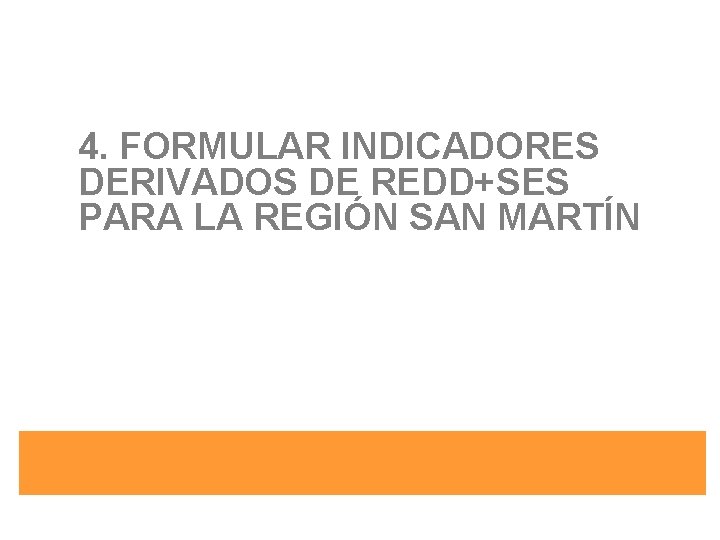 4. FORMULAR INDICADORES DERIVADOS DE REDD+SES PARA LA REGIÓN SAN MARTÍN 