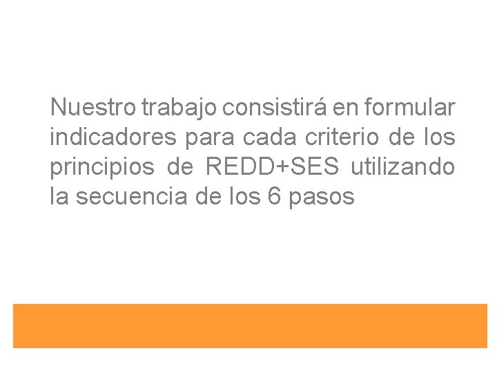 Nuestro trabajo consistirá en formular indicadores para cada criterio de los principios de REDD+SES