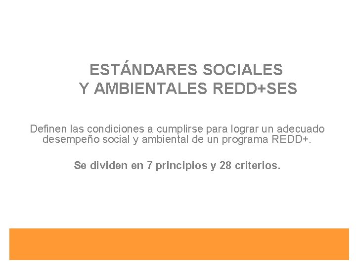 ESTÁNDARES SOCIALES Y AMBIENTALES REDD+SES Definen las condiciones a cumplirse para lograr un adecuado