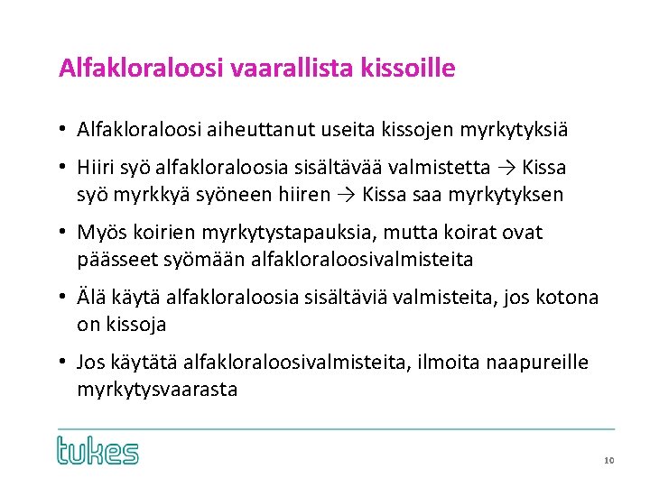 Alfakloraloosi vaarallista kissoille • Alfakloraloosi aiheuttanut useita kissojen myrkytyksiä • Hiiri syö alfakloraloosia sisältävää