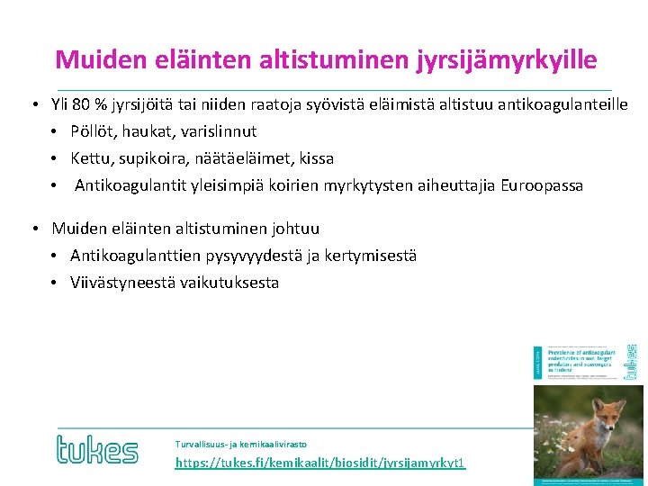 Muiden eläinten altistuminen jyrsijämyrkyille • Yli 80 % jyrsijöitä tai niiden raatoja syövistä eläimistä