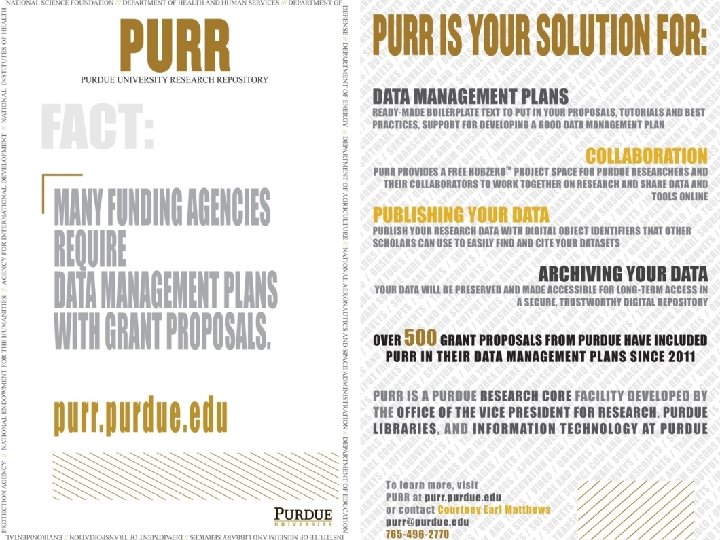 PURR POSTCARD AND POSTER 21 21 