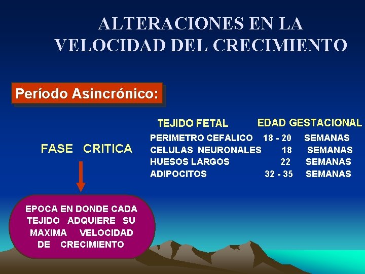 ALTERACIONES EN LA VELOCIDAD DEL CRECIMIENTO Período Asincrónico: TEJIDO FETAL FASE CRITICA EPOCA EN