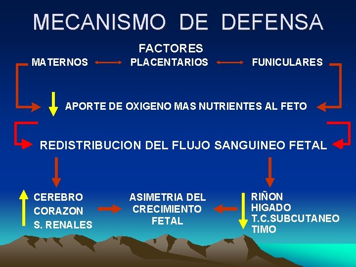 MECANISMO DE DEFENSA FACTORES MATERNOS PLACENTARIOS FUNICULARES APORTE DE OXIGENO MAS NUTRIENTES AL FETO