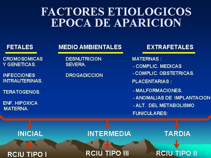 FACTORES ETIOLOGICOS EPOCA DE APARICION FETALES MEDIO AMBIENTALES EXTRAFETALES CROMOSOMICAS Y GENETICAS. DESNUTRICION SEVERA.