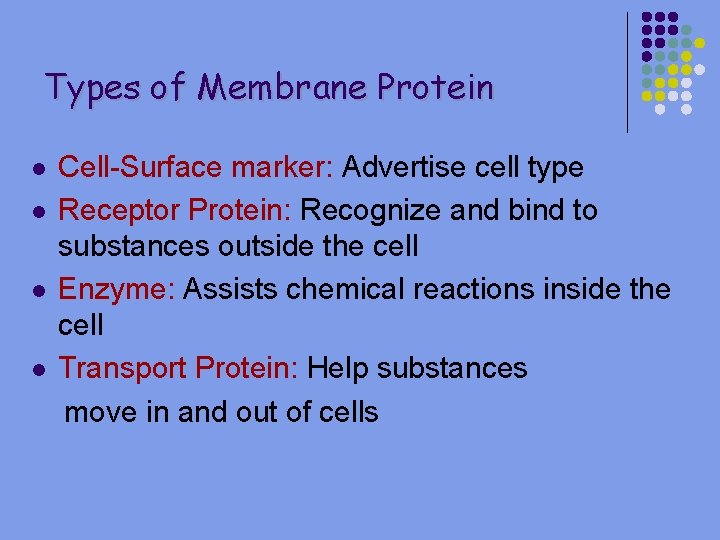 Types of Membrane Protein l l Cell-Surface marker: Advertise cell type Receptor Protein: Recognize