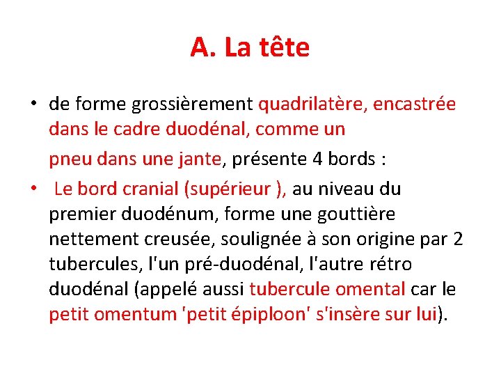 A. La tête • de forme grossièrement quadrilatère, encastrée dans le cadre duodénal, comme