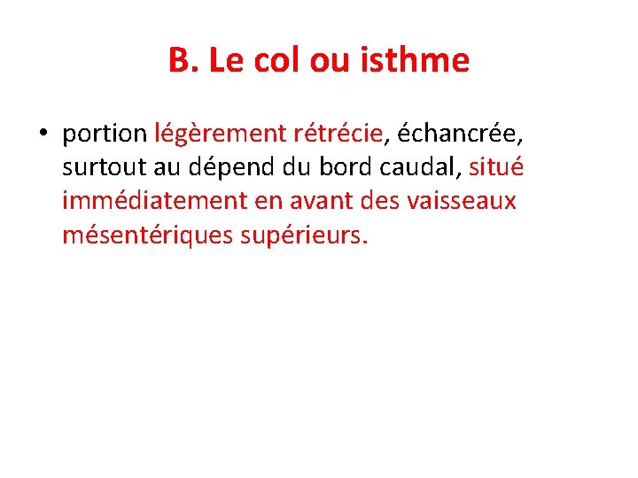 B. Le col ou isthme • portion légèrement rétrécie, échancrée, surtout au dépend du