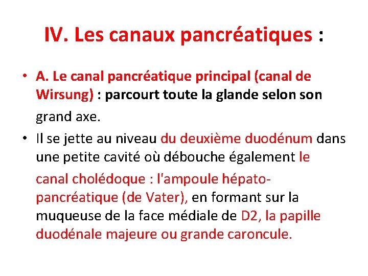 IV. Les canaux pancréatiques : • A. Le canal pancréatique principal (canal de Wirsung)