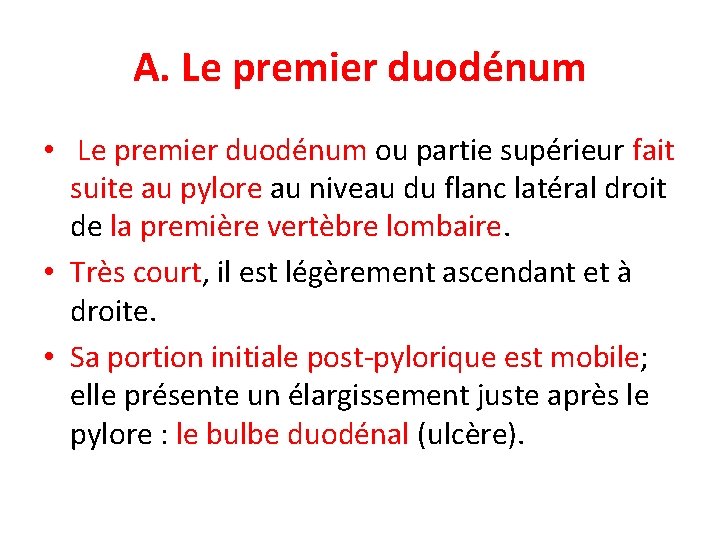 A. Le premier duodénum • Le premier duodénum ou partie supérieur fait suite au