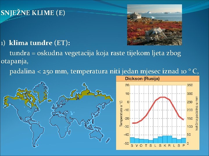 SNJEŽNE KLIME (E) 1) klima tundre (ET): tundra = oskudna vegetacija koja raste tijekom