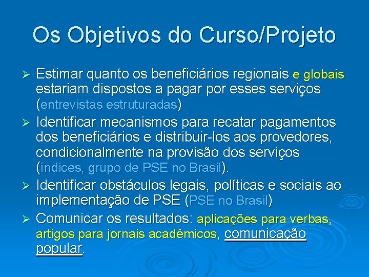 Os Objetivos do Curso/Projeto Ø Ø Estimar quanto os beneficiários regionais e globais estariam