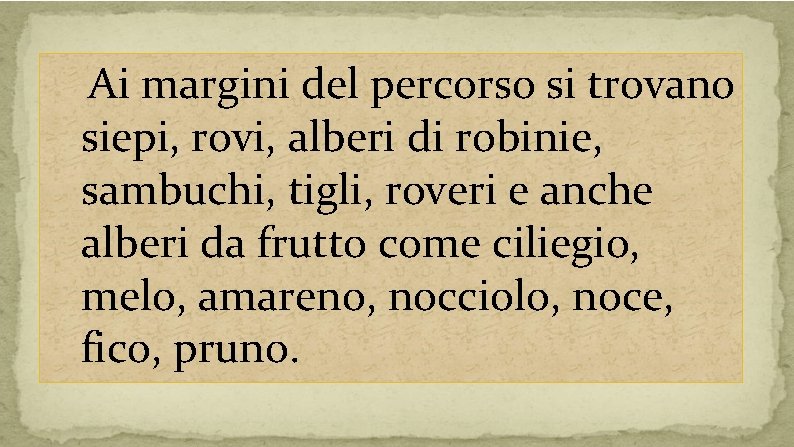 Ai margini del percorso si trovano siepi, rovi, alberi di robinie, sambuchi, tigli, roveri