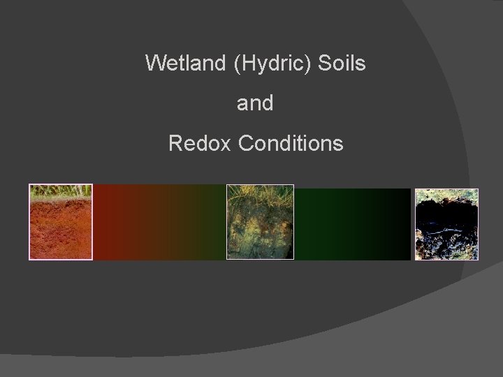 Wetland (Hydric) Soils and Redox Conditions 