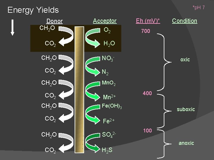 *p. H 7 Energy Yields Donor CH 2 O Acceptor O 2 CO 2