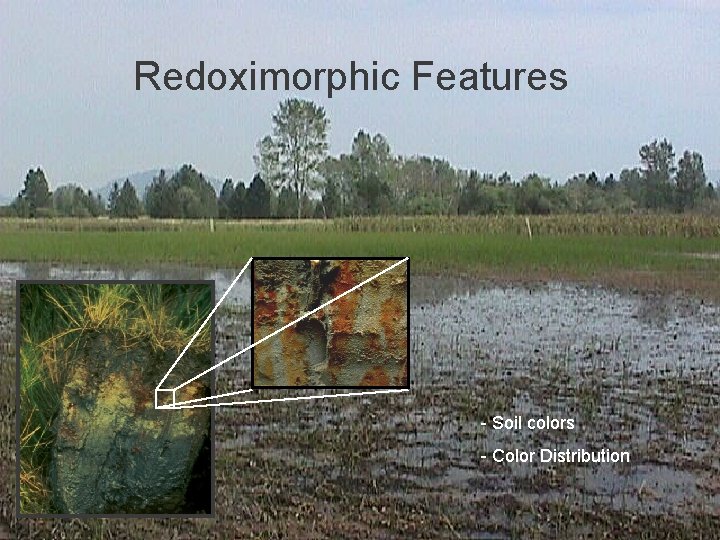 Redoximorphic Features - Soil colors - Color Distribution 