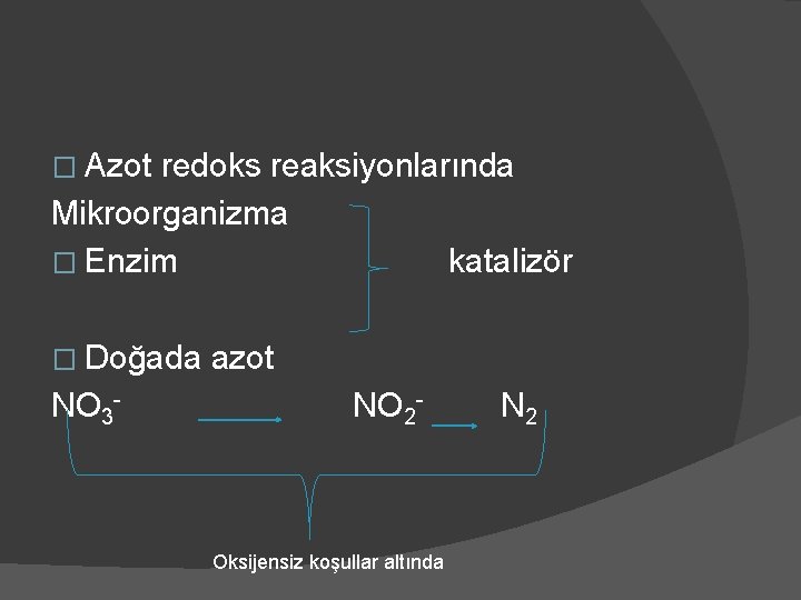 � Azot redoks reaksiyonlarında Mikroorganizma � Enzim katalizör � Doğada NO 3 - azot