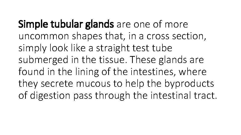 Simple tubular glands are one of more uncommon shapes that, in a cross section,