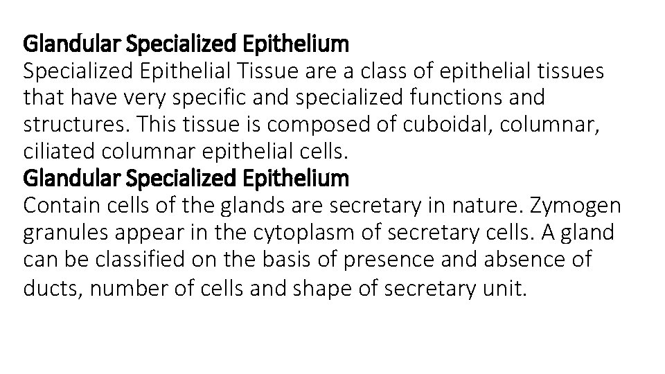 Glandular Specialized Epithelium Specialized Epithelial Tissue are a class of epithelial tissues that have