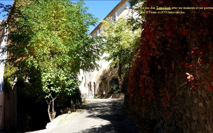 La rue des Templiers avec ses maisons et ses portes des XVème et XVIIème