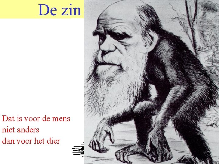 De zin van het leven. Dat is voor de mens niet anders dan voor