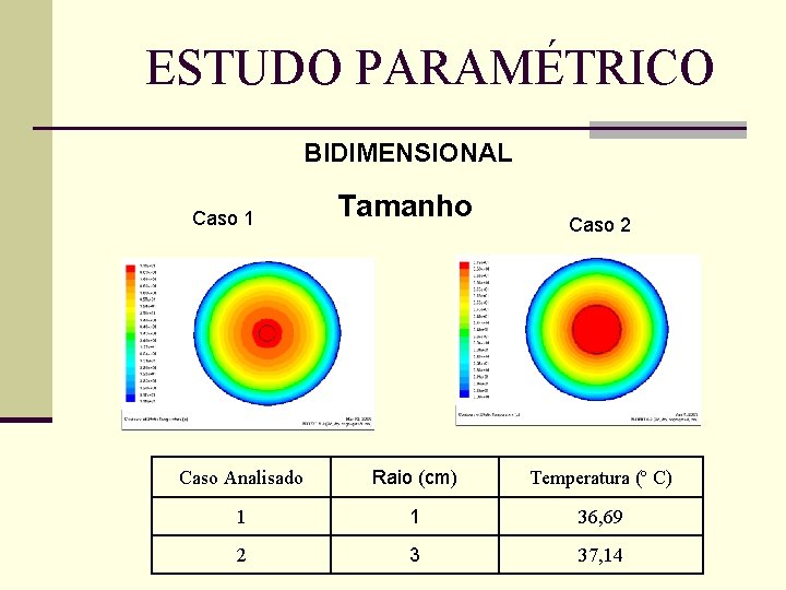 ESTUDO PARAMÉTRICO BIDIMENSIONAL Caso 1 Tamanho Caso 2 Caso Analisado Raio (cm) Temperatura (º