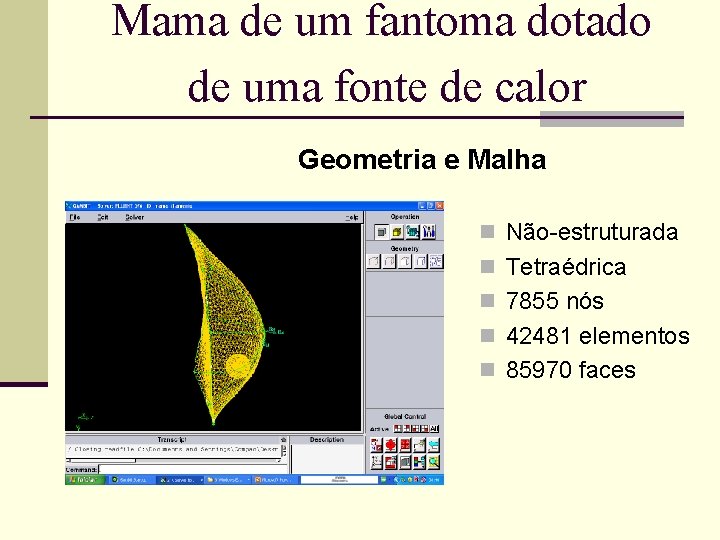 Mama de um fantoma dotado de uma fonte de calor Geometria e Malha n