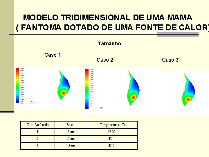 MODELO TRIDIMENSIONAL DE UMA MAMA ( FANTOMA DOTADO DE UMA FONTE DE CALOR) Tamanho