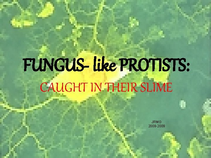 FUNGUS- like PROTISTS: CAUGHT IN THEIR SLIME JRMG 2008 -2009 