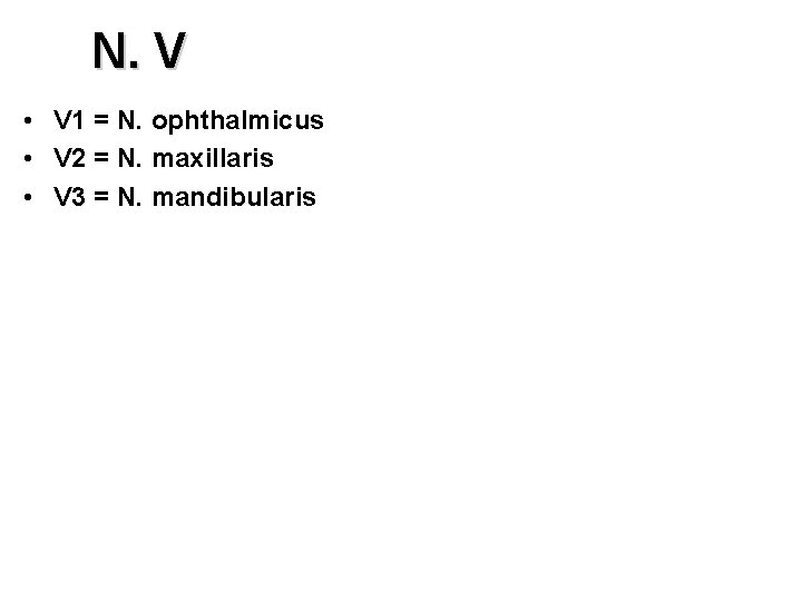N. V • V 1 = N. ophthalmicus • V 2 = N. maxillaris