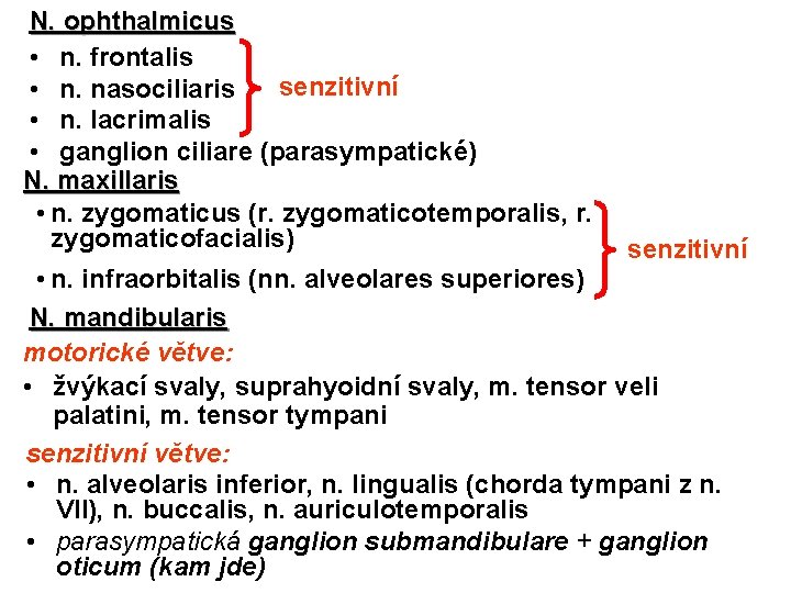 N. ophthalmicus • n. frontalis senzitivní • n. nasociliaris • n. lacrimalis • ganglion