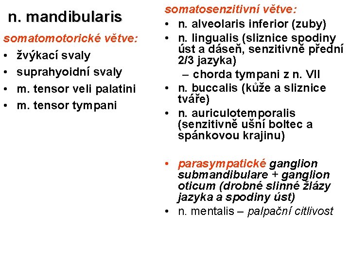 n. mandibularis somatomotorické větve: • žvýkací svaly • suprahyoidní svaly • m. tensor veli