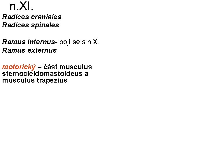 n. XI. Radices craniales Radices spinales Ramus internus- pojí se s n. X. Ramus