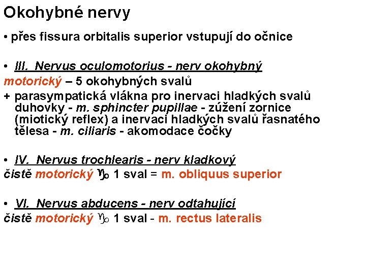 Okohybné nervy • přes fissura orbitalis superior vstupují do očnice • III. Nervus oculomotorius