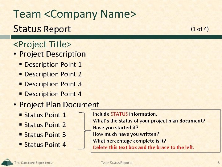 Team <Company Name> Status Report (1 of 4) <Project Title> • Project Description §