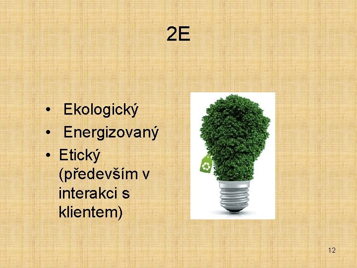 2 E • Ekologický • Energizovaný • Etický (především v interakci s klientem) 12