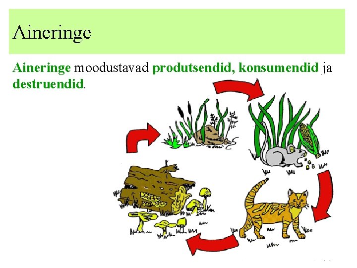 Aineringe moodustavad produtsendid, konsumendid ja destruendid. 