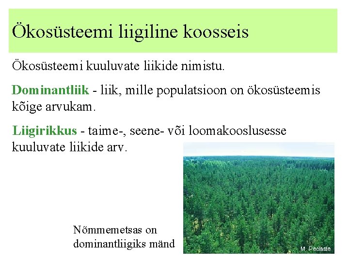 Ökosüsteemi liigiline koosseis Ökosüsteemi kuuluvate liikide nimistu. Dominantliik - liik, mille populatsioon on ökosüsteemis