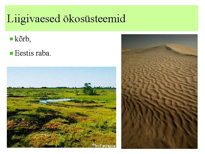 Liigivaesed ökosüsteemid kõrb, Eestis raba. 