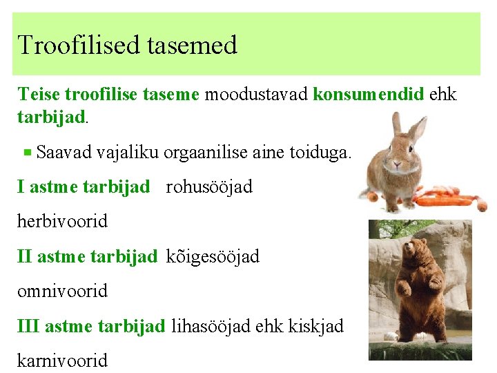 Troofilised tasemed Teise troofilise taseme moodustavad konsumendid ehk tarbijad. Saavad vajaliku orgaanilise aine toiduga.