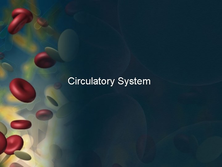 Circulatory System 