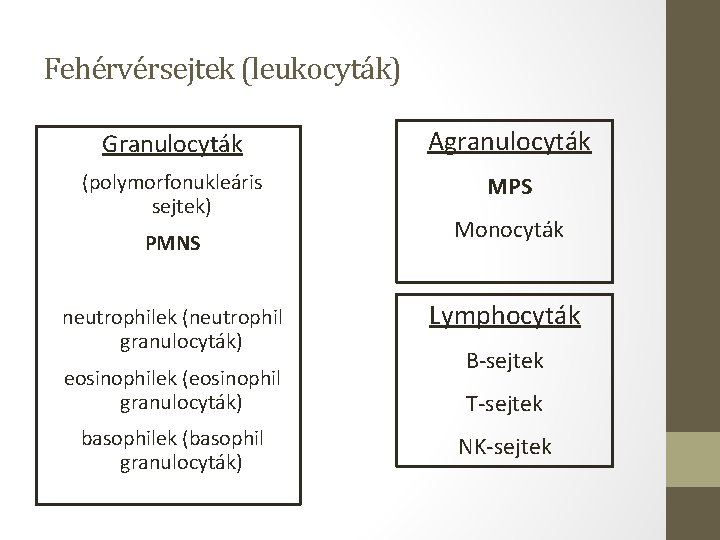 Fehérvérsejtek (leukocyták) Granulocyták Agranulocyták (polymorfonukleáris sejtek) MPS PMNS neutrophilek (neutrophil granulocyták) eosinophilek (eosinophil granulocyták)