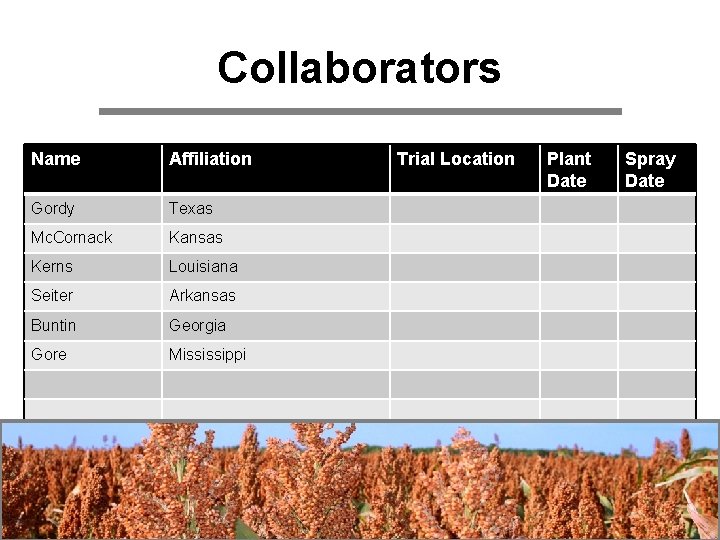 Collaborators Name Affiliation Gordy Texas Mc. Cornack Kansas Kerns Louisiana Seiter Arkansas Buntin Georgia