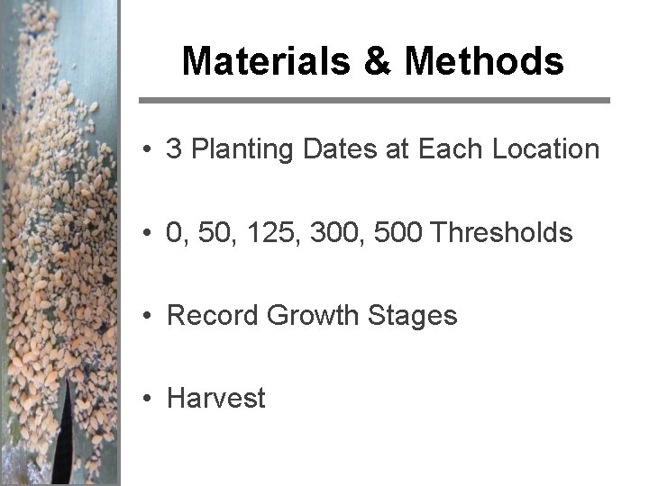 Materials & Methods • 3 Planting Dates at Each Location • 0, 50, 125,