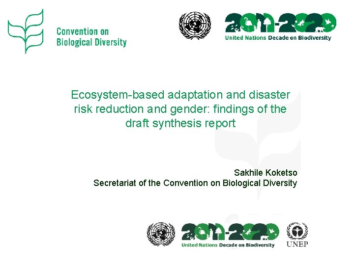 Ecosystem-based adaptation and disaster risk reduction and gender: findings of the draft synthesis report